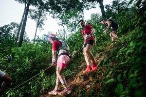 BIB: 
                            <button type="button" onclick="openModal(26202094)" class="btn btn-primary btn-sm float-right btn-popup" data-toggle="modal" data-target=".modal-high-quality">
                        <i class="fas fa-shopping-cart"></i> Add to Cart
                    </button>
                                            <button type="button" onclick="isThisMe(26202094, true)" class="btn btn-success btn-sm float-right btn-popup btn-isme hidden" data-toggle="tooltip" data-placement="bottom" title="นี่คือรูปของคุณใช่ไหม คลิกที่นี่เพื่อเอาเข้าอัลบั้ม">
                        <i class="fas fa-plus"></i> Add to album
                    </button>
                    <button type="button" onclick="isThisMe(26202094, false)" class="btn btn-warning btn-sm float-right btn-popup btn-isnotme hidden">
                        <i class="fas fa-ban"></i> Remove from album
                    </button>